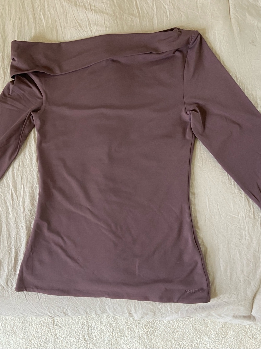 Aritzia Contour Off-Shoulder Long Sleeve Top in Mauve